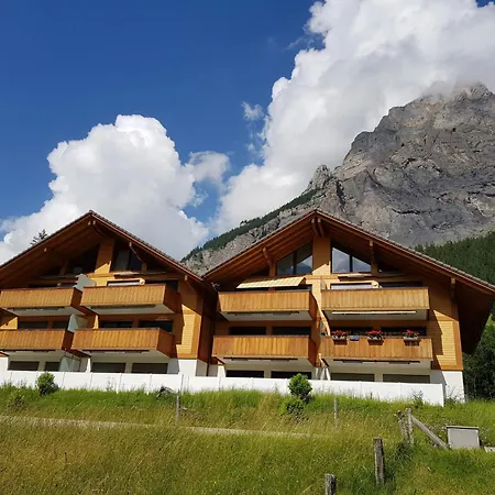 Apartament Ibex By Interhome Kandersteg